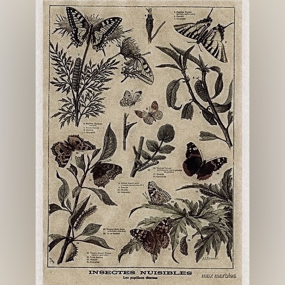 Meet your Posher, Rinee - Picture 4 of 6